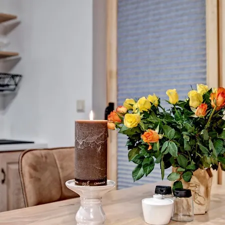 Swiatlomir דירה זקופאנה