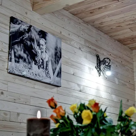 דירה Swiatlomir *