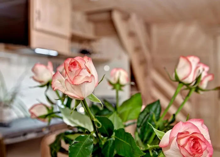 Swiatlomir 公寓 扎科帕内