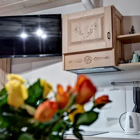 Swiatlomir Apartment Zakopane