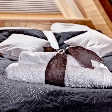 Swiatlomir Apartment Zakopane