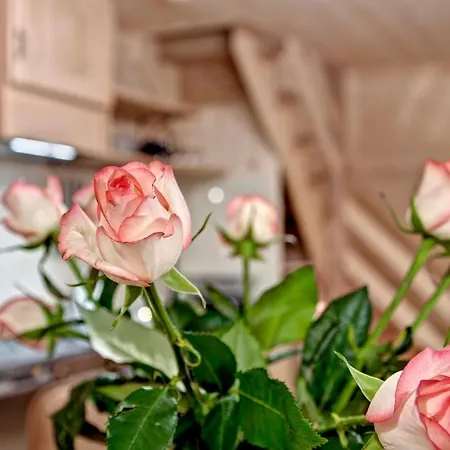 Swiatlomir Apartment Zakopane