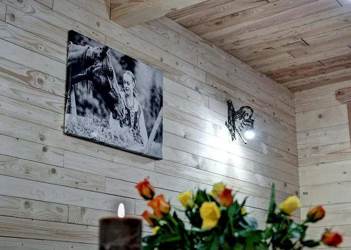 Apartment Swiatlomir *